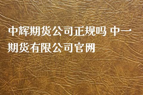 期货公司正规吗 期货有限公司