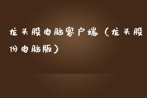 龙头股电脑客户端（龙头股份电脑版）