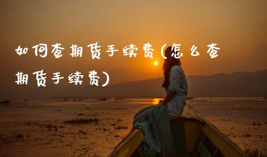 如何查期货手续费(怎么查期货手续费)