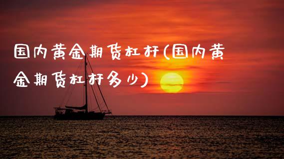 国内黄金期货杠杆(国内黄金期货杠杆多少)