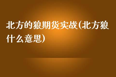 北方的狼期货实战(北方狼什么意思)