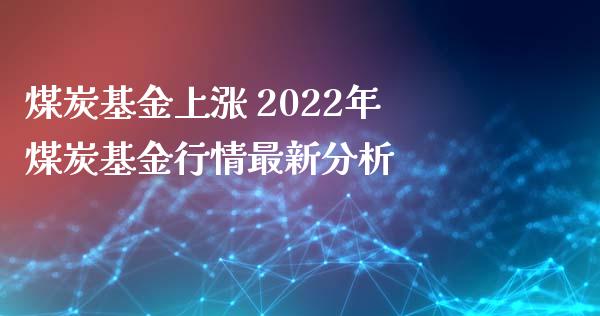 煤炭基金上涨 2022年煤炭基金行情最新分析