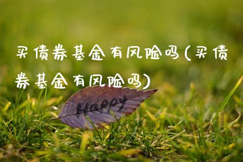 买债券基金有风险吗(买债券基金有风险吗)