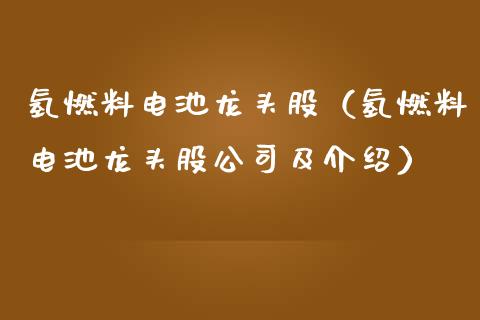 氢燃料电池龙头股（氢燃料电池龙头股公司及介绍）