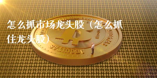 怎么抓市场龙头股（怎么抓住龙头股）