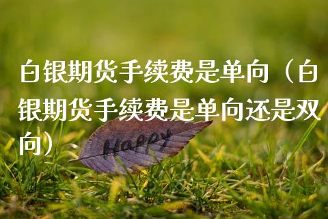 白银期货手续费是单向（白银期货手续费是单向还是双向）