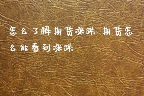 怎么了解期货涨跌 期货怎么能看到涨跌