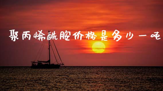 聚丙烯酰胺价格是多少一吨