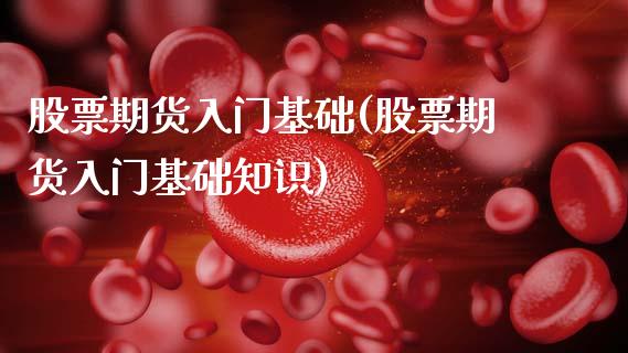 股票期货入门基础(股票期货入门基础知识)