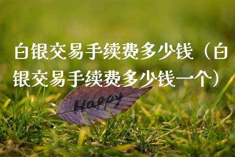 白银交易手续费多少钱（白银交易手续费多少钱一个）