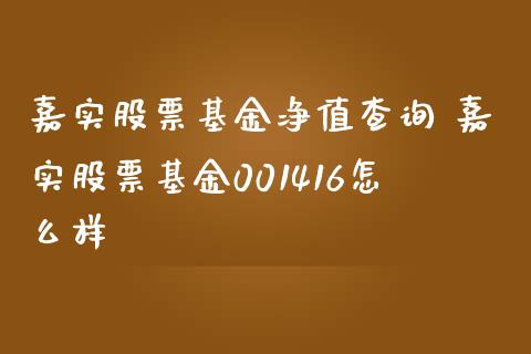 嘉实股票基金净值查询 嘉实股票基金001416怎么样