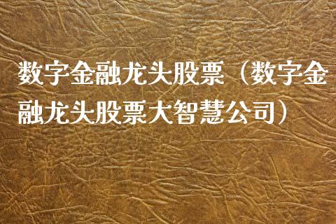 数字金融龙头股票（数字金融龙头股票大智慧公司）