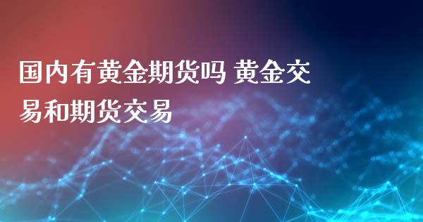 国内有黄金期货吗 黄金交易和期货交易