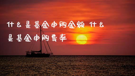 什么是基金申购金额 什么是基金申购费率_https://www.dglong8.com_基金理财_第1张
