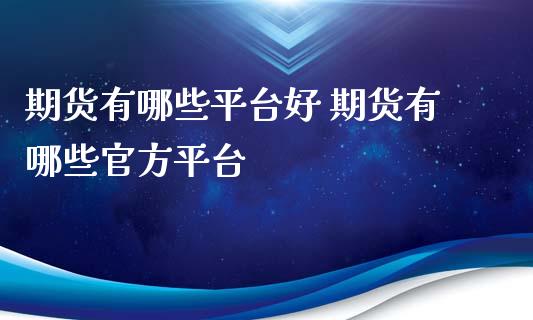 期货有哪些平台好 期货有哪些官方平台