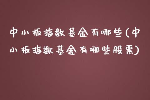 中小板指数基金有哪些(中小板指数基金有哪些股票)