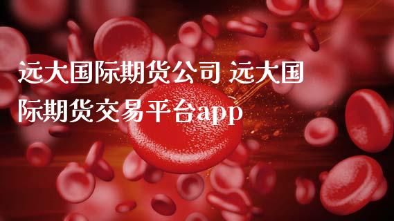 远大国际期货公司 远大国际期货交易平台app