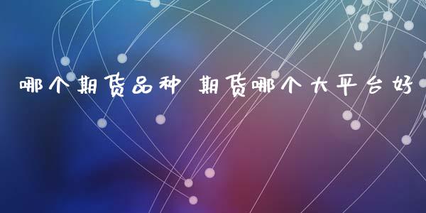 哪个期货品种 期货哪个大平台好