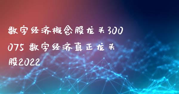 数字经济概念股龙头300075 数字经济真正龙头股2022
