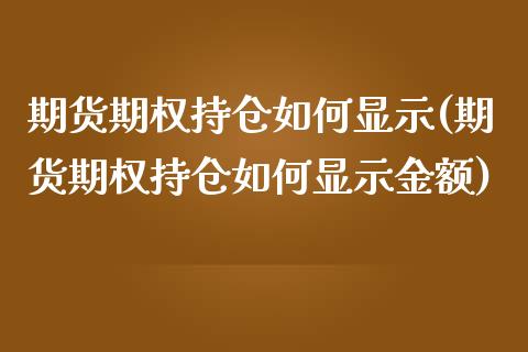 期货期权持仓如何显示(期货期权持仓如何显示金额)