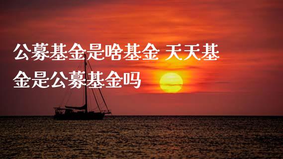 公募基金是啥基金 天天基金是公募基金吗