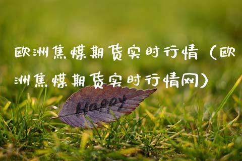 欧洲焦煤期货实时行情（欧洲焦煤期货实时行情网）