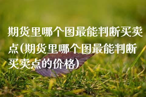 期货里哪个图最能判断买卖点(期货里哪个图最能判断买卖点的价格)