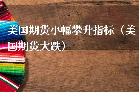 美国期货小幅攀升指标（美国期货大跌）
