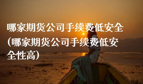 哪家期货公司手续费低安全(哪家期货公司手续费低安全性高)