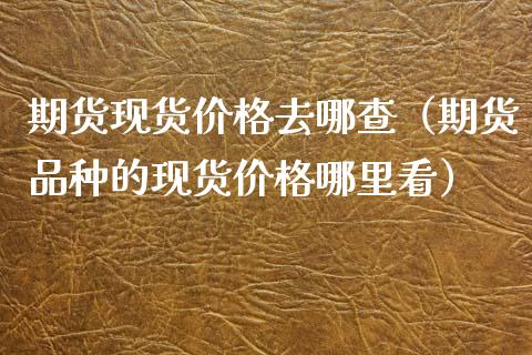 期货现货价格去哪查（期货品种的现货价格哪里看）