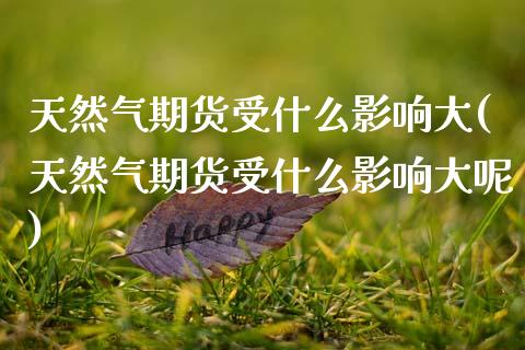 天然气期货受什么影响大(天然气期货受什么影响大呢)