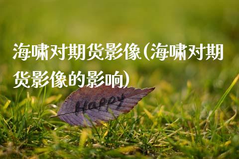 海啸对期货影像(海啸对期货影像的影响)