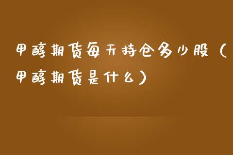 甲醇期货每天持仓多少股（甲醇期货是什么）