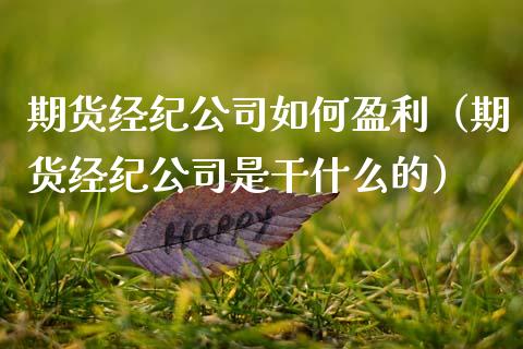 期货经纪公司如何盈利（期货经纪公司是干什么的）