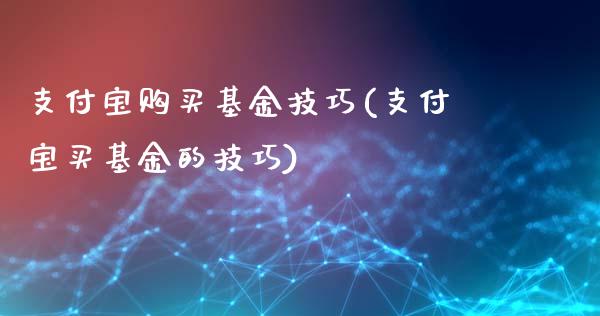 支付宝购买基金技巧(支付宝买基金的技巧)