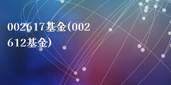 002617基金(002612基金)