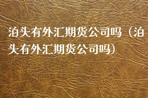 泊头有外汇期货公司吗（泊头有外汇期货公司吗）