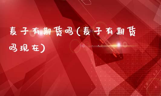 麦子有期货吗(麦子有期货吗现在)