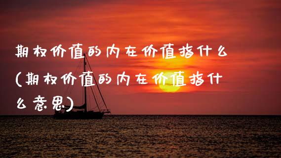 期权价值的内在价值指什么(期权价值的内在价值指什么意思)
