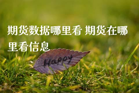 期货数据哪里看 期货在哪里看信息