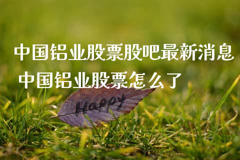 中国铝业股票股吧最新消息 中国铝业股票怎么了_https://www.dglong8.com_股票理财_第1张