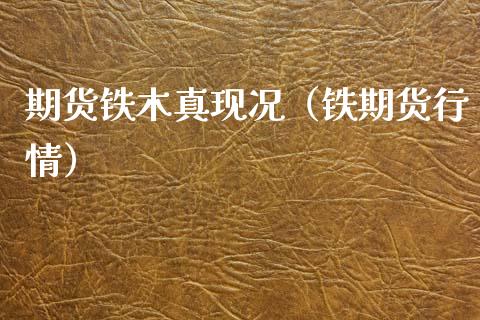 期货铁木真现况（铁期货行情）