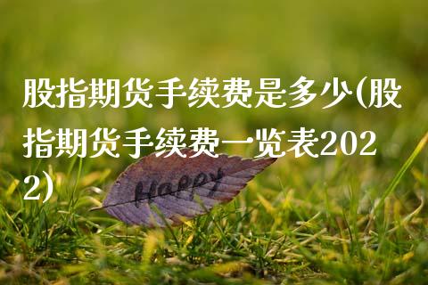 股指期货手续费是多少(股指期货手续费一览表2022)