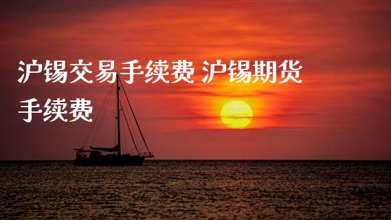 沪锡交易手续费 沪锡期货手续费