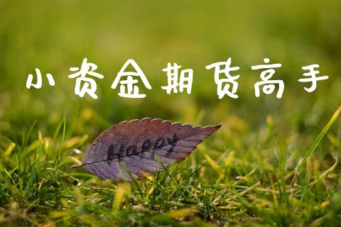 小资金期货高手