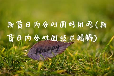 期货日内分时图好用吗(期货日内分时图技术精解)