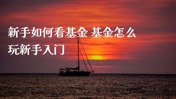 新手如何看基金 基金怎么玩新手入门