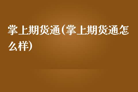 掌上期货通(掌上期货通怎么样)