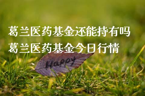 葛兰医药基金还能持有吗 葛兰医药基金今日行情