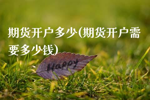 期货开户多少(期货开户需要多少钱)